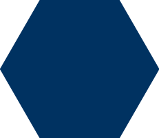 Héxagone bleu marine